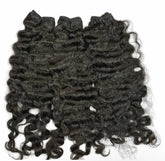 Virgin Burmese curls