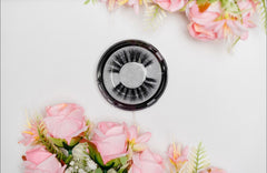 Hollywood Glam| Lashes